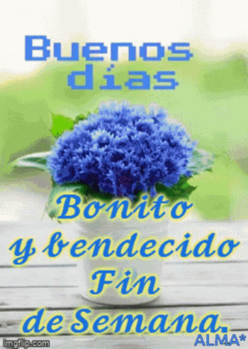 Fin De Semana Bonito GIF