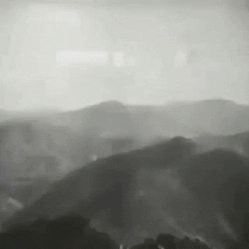 Fin The End GIF