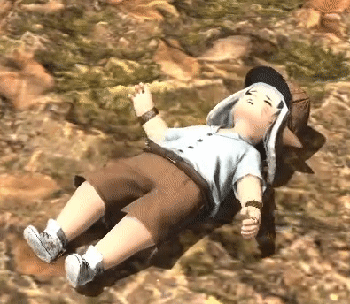 Final Fantasy Xiv Final Fantasy 14 GIF