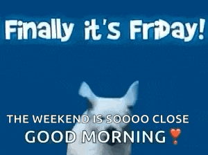 Finallyitsfridaydog Puppyjumping GIF
