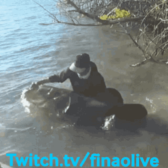 Finao Grouper GIF