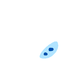 Fingerprint Sticker