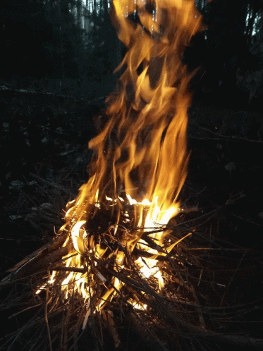 Fire Campfire GIF. This 373 x 498 animated GIF is part of our bhogi wishes collection. Related themes include fire. Created by CikrasDzukelis. View the…