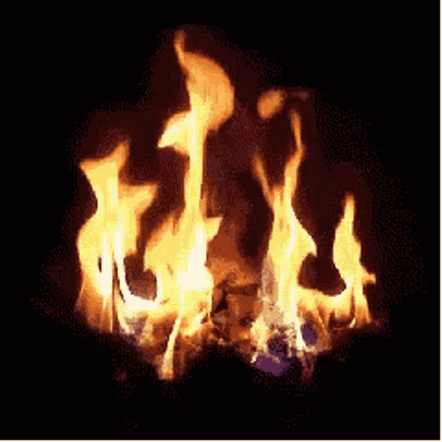 Fire Flame GIF