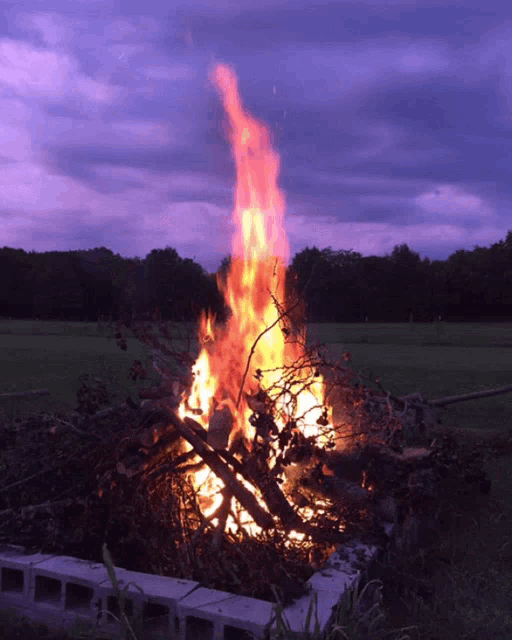 Fire Flame GIF