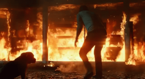 Fire Hot GIF. This 498 x 273 animated GIF is part of our john wick dog collection. Related themes include fire, john wick. Created by JohnWick. View the…