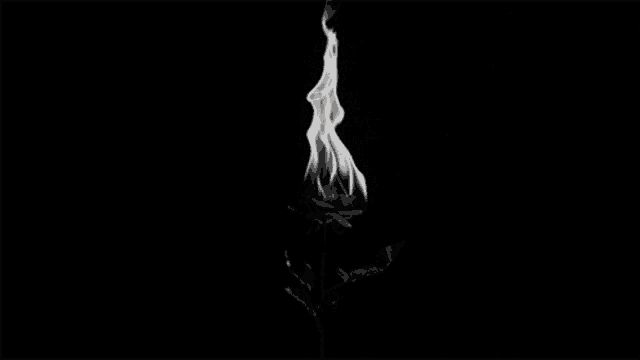 Fire GIF