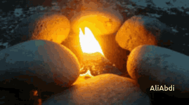 Fire GIF