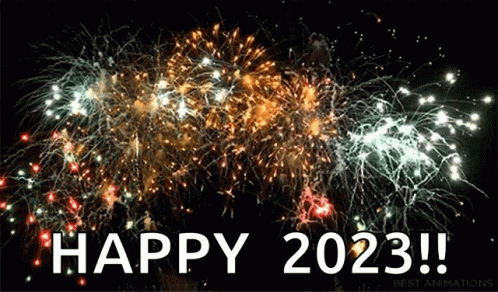 Firework 2020 GIF