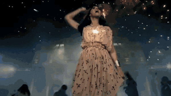 Firework Fireworks GIF