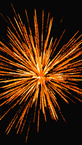 Fireworks Firework Photography GIF