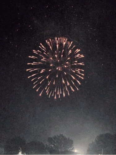 Fireworks Fireworks Gif GIF