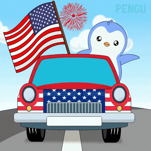 Fireworks Usa GIF