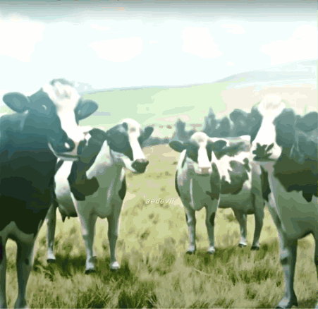 First Of The Month Wake Up Its The First Of The Month GIF