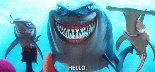 Fish Are Our Friends GIF