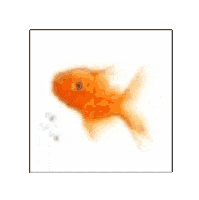 Fish Cube Sticker