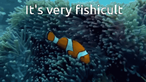 Fish GIF