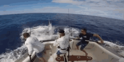 Fish Fishing GIF