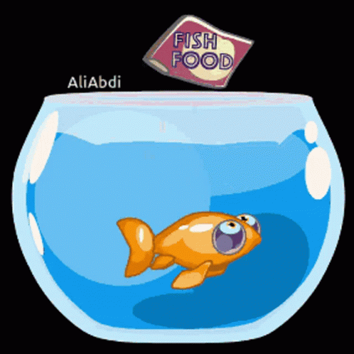 Fish Food GIF