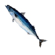 Fish Images Sticker