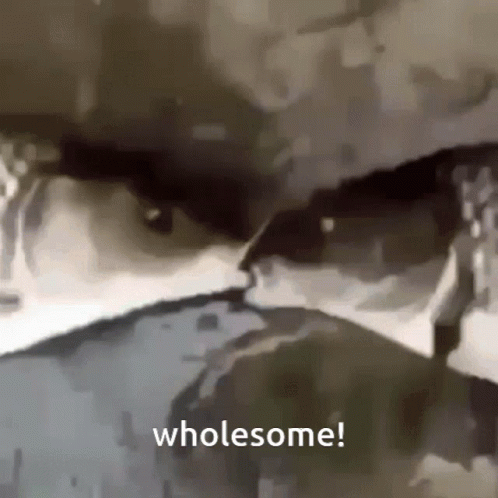 Fish Kiss GIF. This 498 x 498 animated GIF is part of our tongue kissing collection. Related themes include fish, kissing. Created by mcoded. View the…