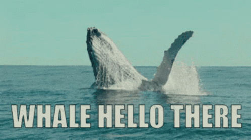 Fish GIF