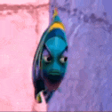 Fish Side Eye GIF