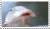 Fish Slap Sticker