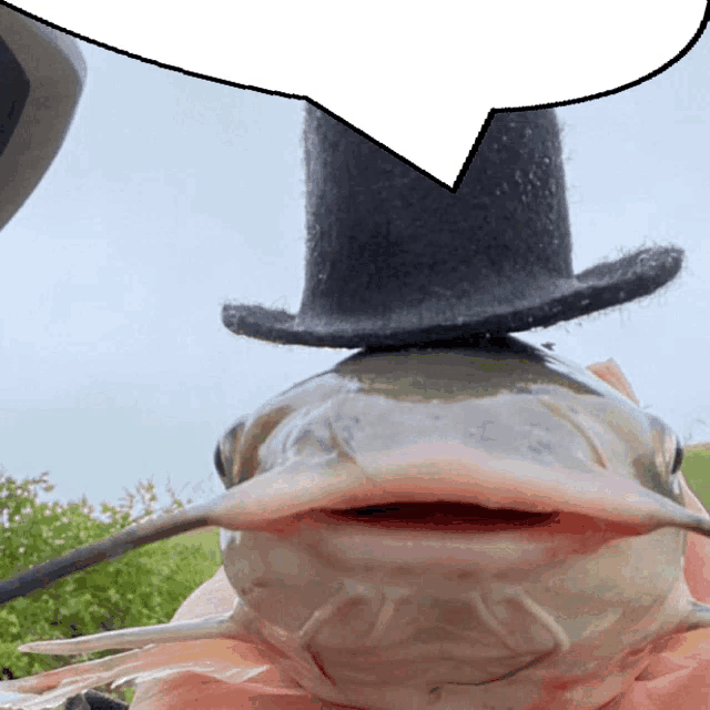 Fish Speech Bubble Meme