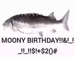 Fish Spin Spin Birthday GIF