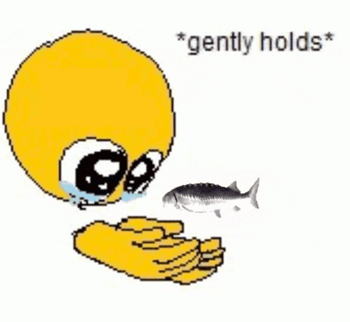 Fish Spin GIF