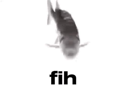 Fish Spinning Fish GIF. This 498 x 374 animated GIF is part of our fish collection. Related themes include meme, spinning fish. Created by 31LuckiSpucki10…
