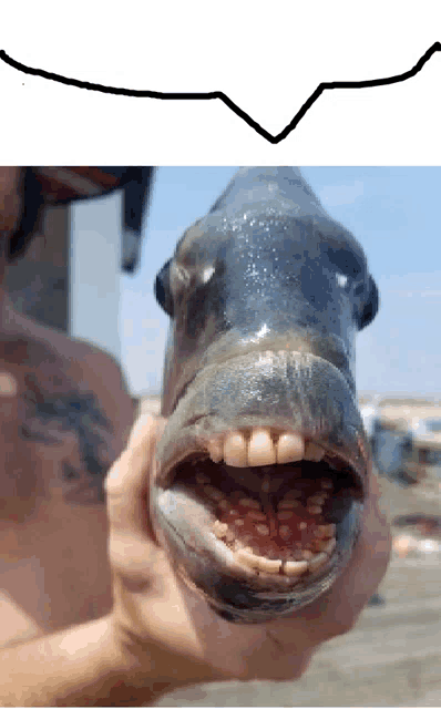 Fish Think2 This You Meme