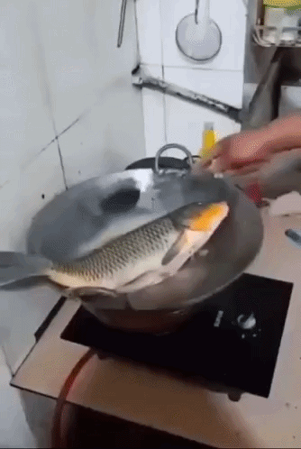 Fish Tweakin GIF