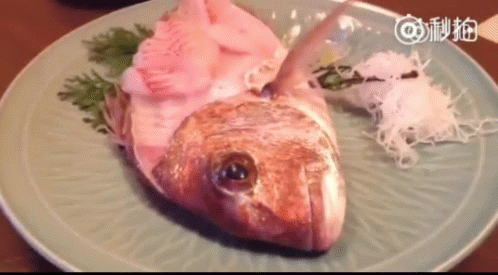 Fish GIF