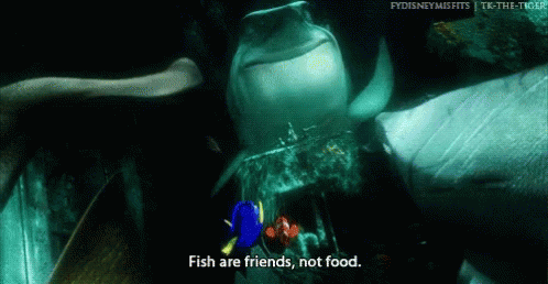 Fisharefriendsnotfood Findingnemo GIF
