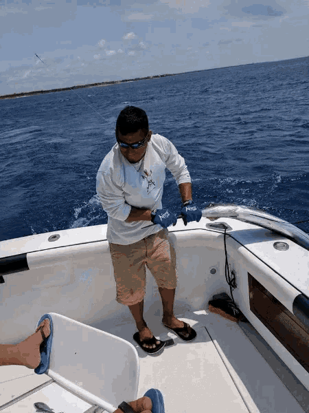 Fishing Big Fish GIF