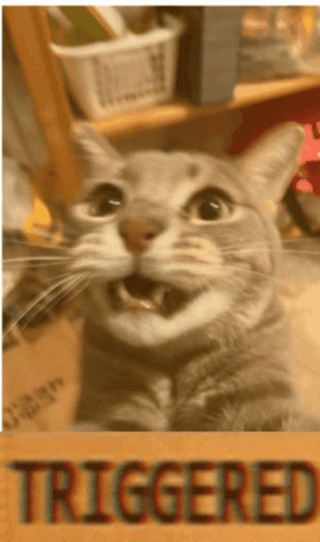 Fishtook Triggered GIF. This 294 x 498 animated GIF is part of our triggered collection. Related themes include cat. Created by shawtim. View the original…