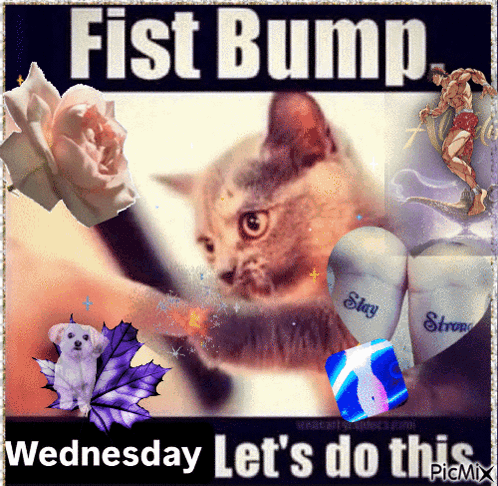 Fist Bump Wednesday GIF