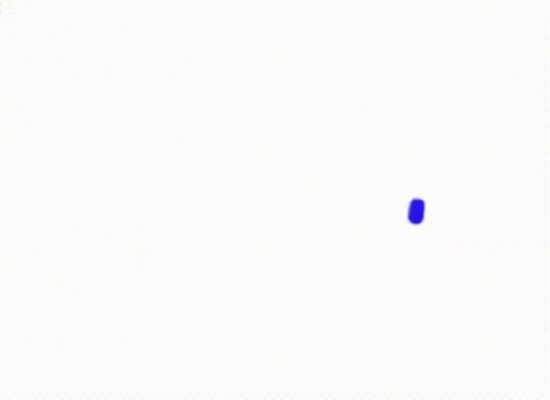 Fit Loading Loading GIF