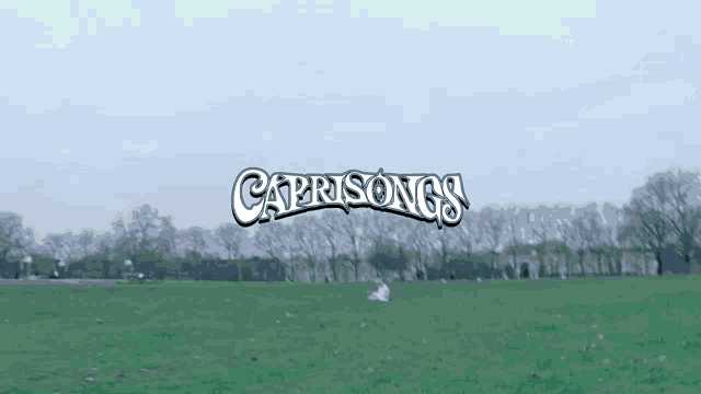 Fka Twigs Caprisongs GIF