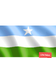Flag Day Puntland Sticker