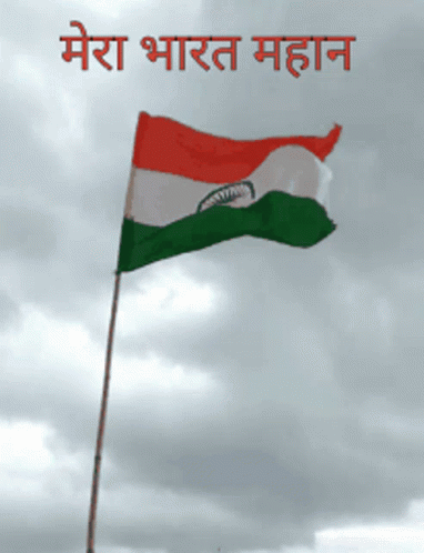 Flag Of India Flag GIF