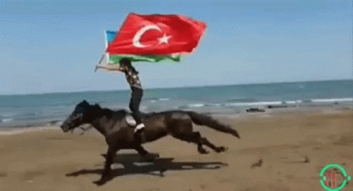 Flag Türkey Azerbaijan GIF