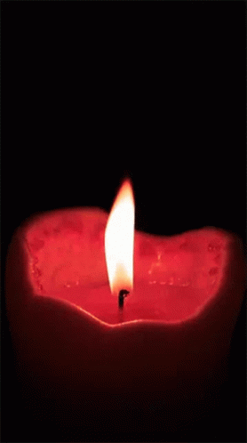 Flame Fire GIF