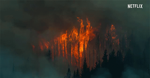 Flames Raging Fire GIF