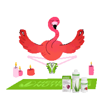 Flamingo Cocktail Summer Cocktail Sticker