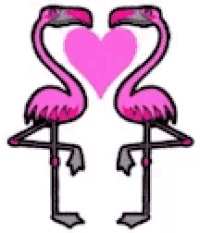 Flamingo Heart GIF