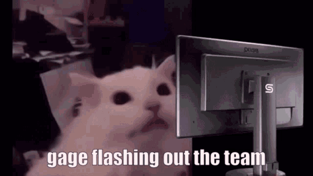 Flashbang Gage GIF