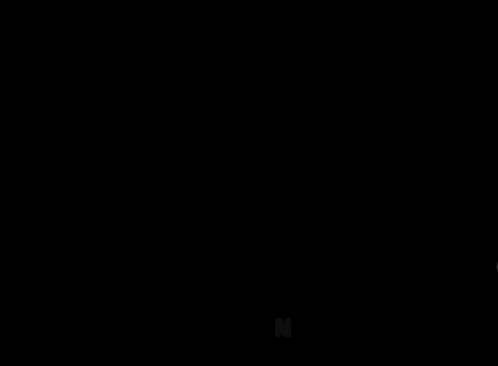 Flipnic GIF